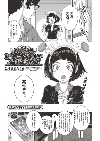 格付け！！1番いかがわしいメイドはだれ？  エロ画像2156