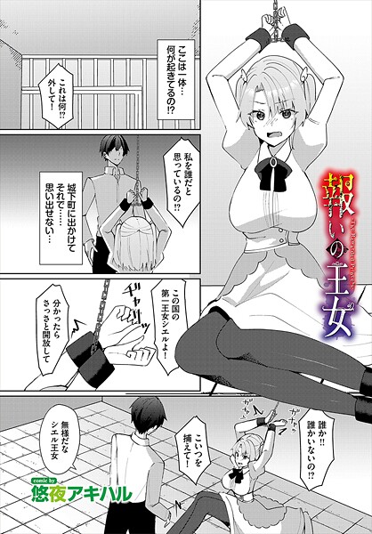 報いの王女  エロ画像3411
