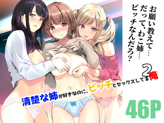 清楚な姉が好きなのに、ビッチとセックスしてる俺2  エロ画像220348