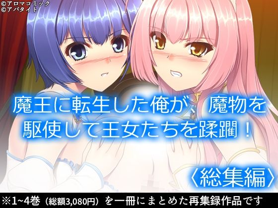 魔王に転生した俺が、魔物を駆使して王女たちを蹂躙！  ＜総集編＞  エロ画像541378