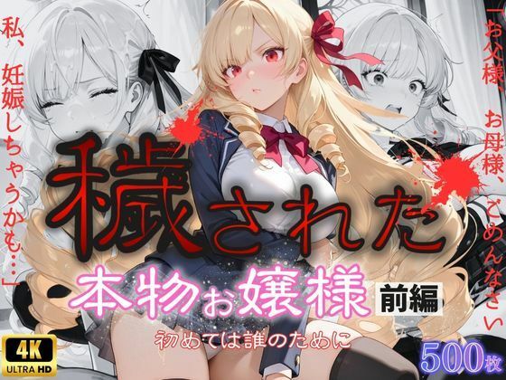 「お父様、お母様、ごめんなさい。私、妊娠しちゃうかも」穢された本物お嬢様  前編〜初めては誰のために〜  エロ画像563126