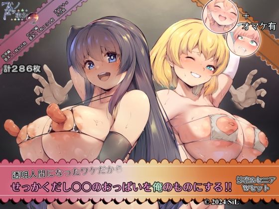 透明人間になったワケだから せっかくだし○○のおっぱいを俺のものにする！！ 沙奈＆セニア Wセット  エロ画像574617