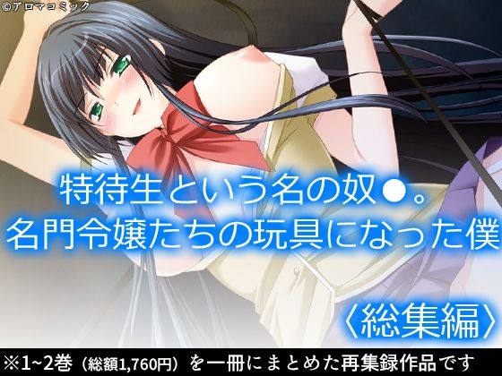 特待生という名の奴●。名門令嬢たちの玩具になった僕  ＜総集編＞  エロ画像584839