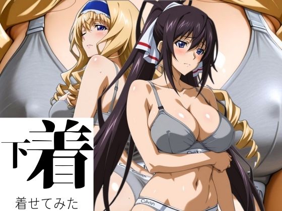 あの下着を着せてみた。 ほ〇き＆セ〇リア  エロ画像595035