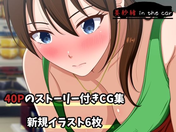 美紗緒 in the car  エロ画像607031