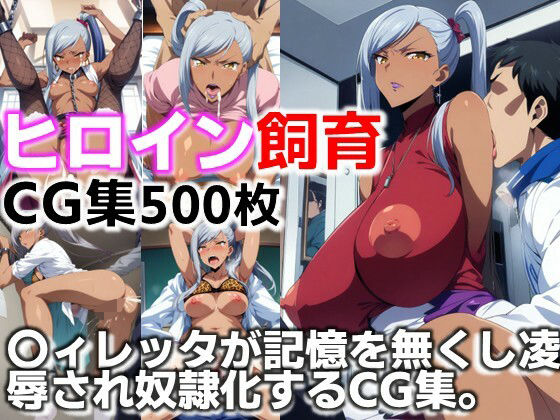ヒロイン飼育  〇ィレッタが記憶を無くし凌●され奴●化するCG集  エロ画像622181