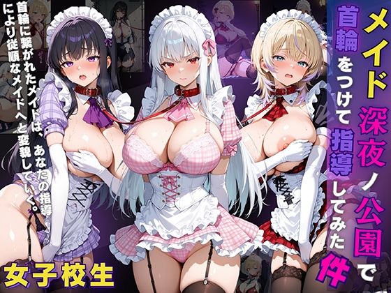 女子校生 メイド 深夜ノ公園で首輪をつけて指導してみた件  エロ画像633248