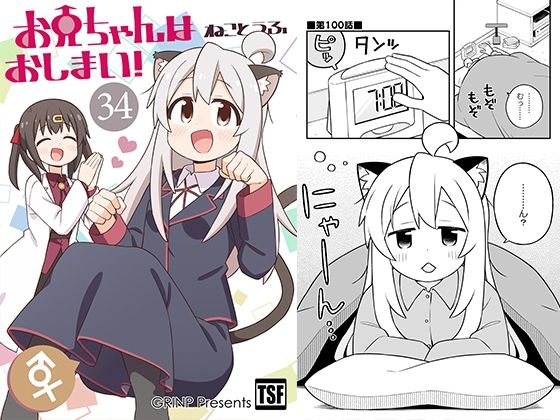 お兄ちゃんはおしまい！34  エロ画像648449