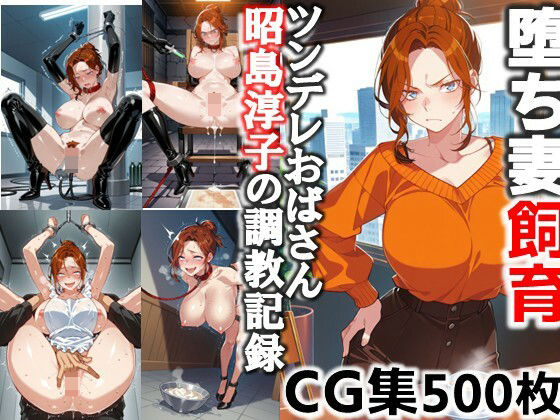 堕ち妻飼育  ツンデレおばさん昭島淳子の調教記録CG集  エロ画像651777