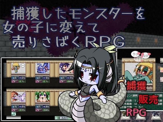 捕獲したモンスターを女の子に変えて売りさばくRPG  エロ画像672623