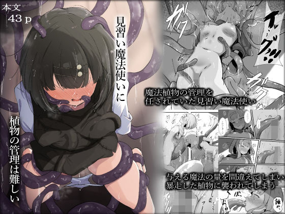 見習い魔法使いに植物の管理は難しい  エロ画像708381