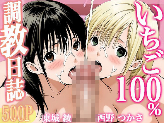 調教日誌 東城綾 西野つかさ  エロ画像727638