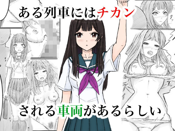 ある列車にはチカンされる車両があるらしい  エロ画像733890
