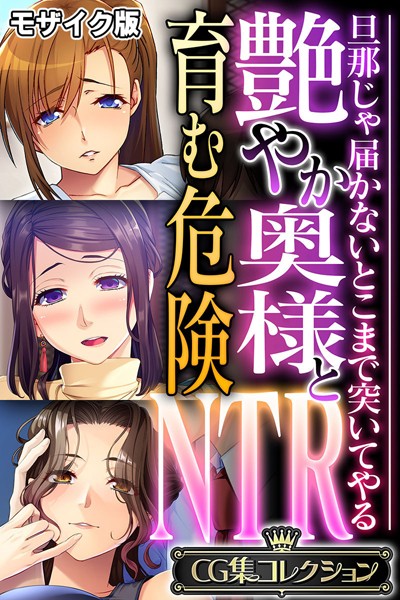 艶やか奥様と育む危険NTR 〜旦那じゃ届かないとこまで突いてやる〜【CG集コレクション】 モザイク版  エロ画像10833