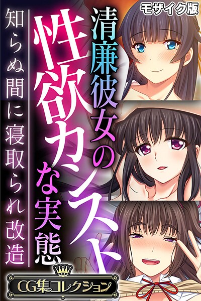 清廉彼女の性欲カンストな実態 〜知らぬ間に寝取られ改造〜【CG集コレクション】 モザイク版  エロ画像11648