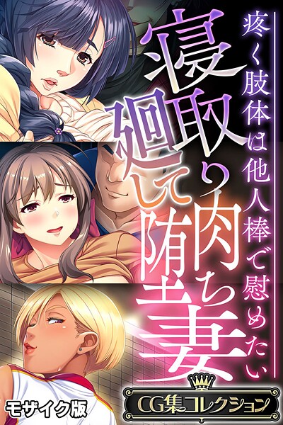 寝取り廻して肉堕ち妻 〜疼く肢体は他人棒で慰めたい〜【CG集コレクション】 モザイク版  エロ画像11723