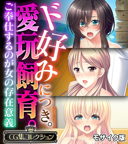 ド好みにつき。愛玩飼育。 〜ご奉仕するのが女の存在意義〜【CG集コレクション】 モザイク版  エロ画像11942